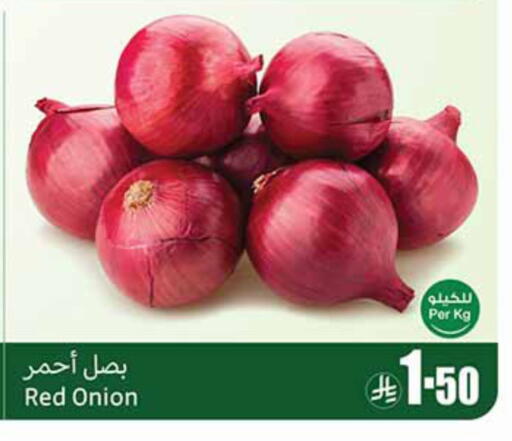 Onion available at Othaim Markets in KSA, Saudi Arabia, Saudi - Al Khobar