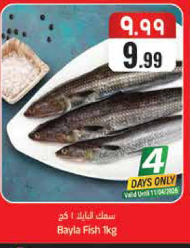 available at ستي فلاور in مملكة العربية السعودية, السعودية, سعودية - حائل‎