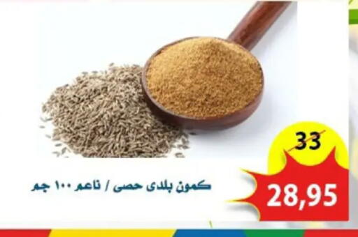 available at اسواق البدر in Egypt - القاهرة