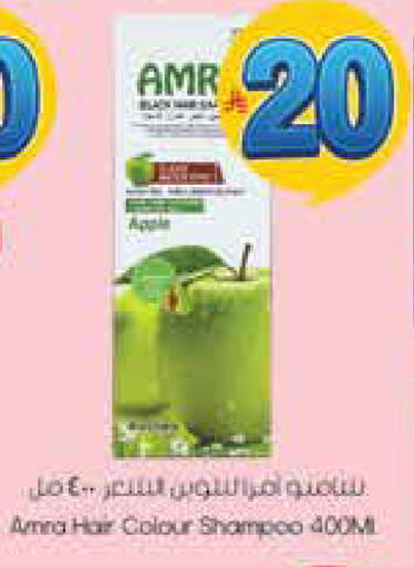 available at City Flower in KSA, Saudi Arabia, Saudi - Hail