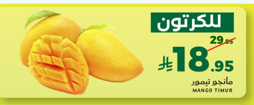 Mango available at ميرا مارت مول in مملكة العربية السعودية, السعودية, سعودية - جدة