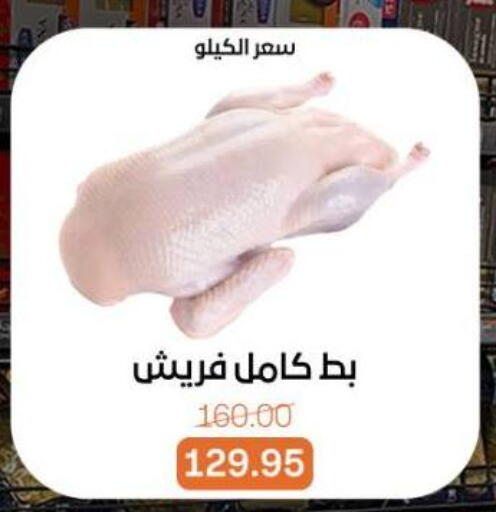 available at بيت الجملة in Egypt - القاهرة