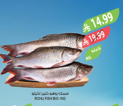 available at Farm  in KSA, Saudi Arabia, Saudi - Qatif