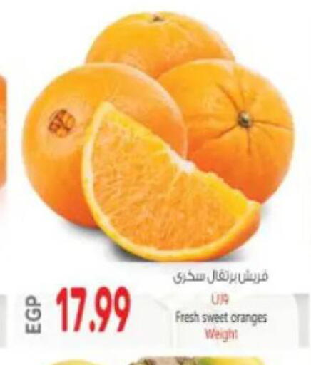 available at New.Penny.market in Egypt - Cairo