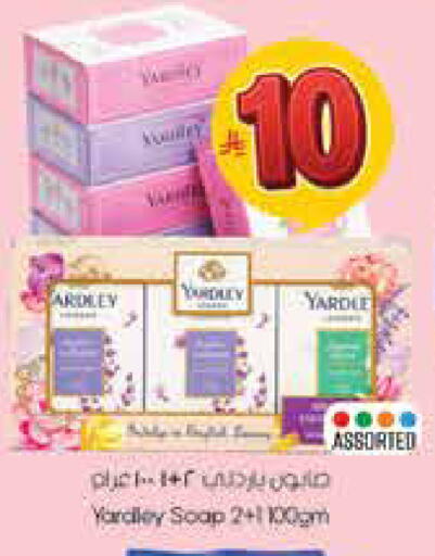 available at City Flower in KSA, Saudi Arabia, Saudi - Hail