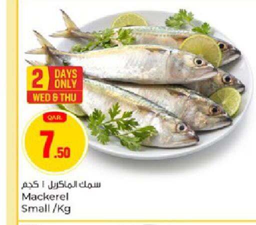 available at باريس هايبرماركت in قطر - الريان