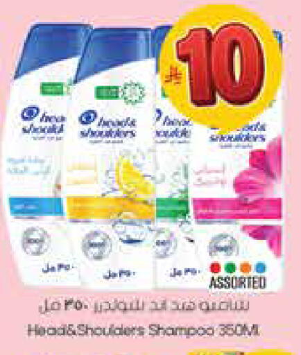 available at City Flower in KSA, Saudi Arabia, Saudi - Hail