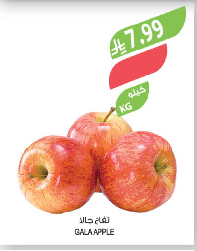 Apple available at Farm  in KSA, Saudi Arabia, Saudi - Al Khobar