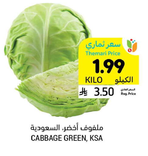 Cabbage available at أسواق التميمي in مملكة العربية السعودية, السعودية, سعودية - المدينة المنورة