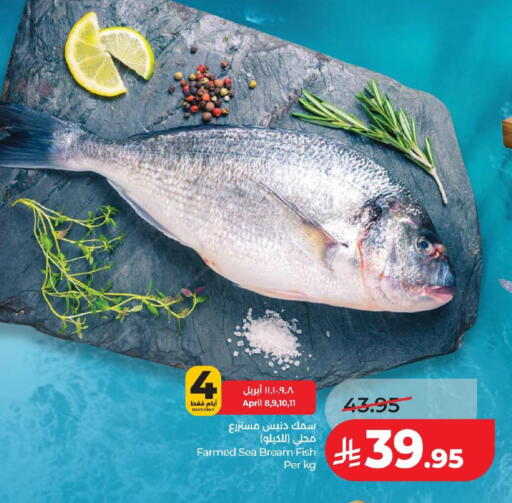 available at لولو هايبرماركت in مملكة العربية السعودية, السعودية, سعودية - حفر الباطن