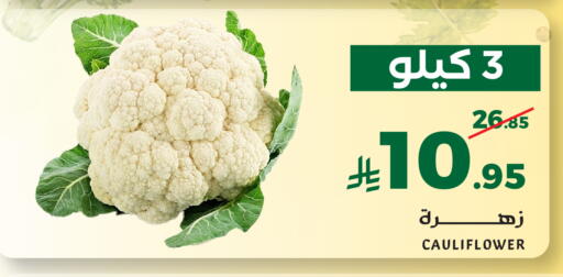 Cauliflower available at ميرا مارت مول in مملكة العربية السعودية, السعودية, سعودية - جدة
