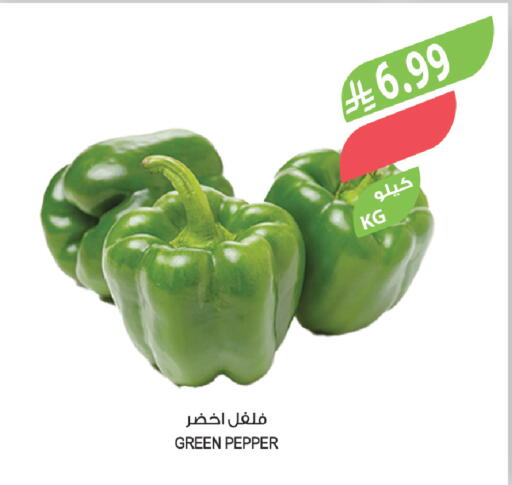 Pepper available at المزرعة in مملكة العربية السعودية, السعودية, سعودية - تبوك
