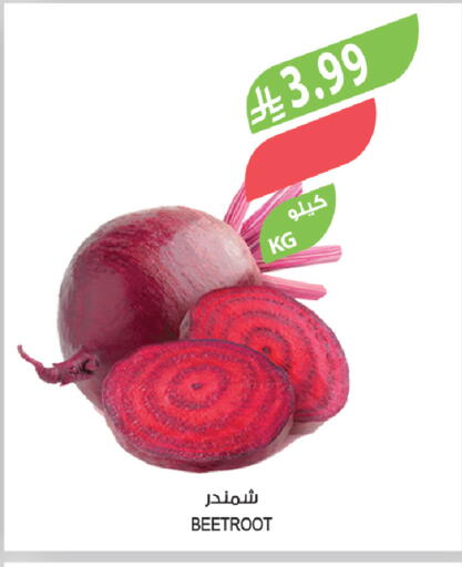 Beetroot available at Farm  in KSA, Saudi Arabia, Saudi - Al Khobar