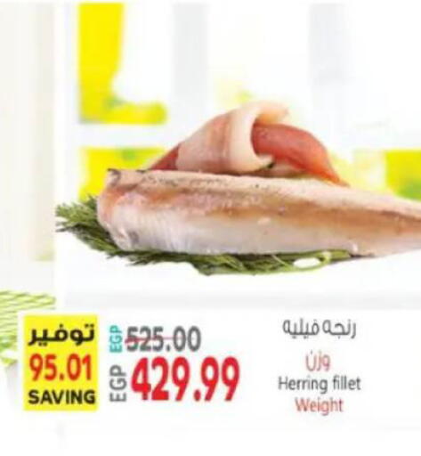 available at ماركت بني الجديد in Egypt - القاهرة