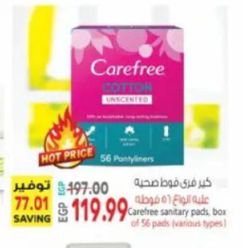 available at New.Penny.market in Egypt - Cairo