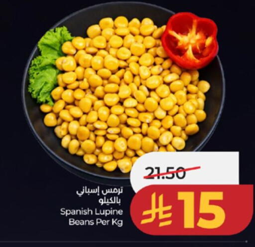 available at لولو هايبرماركت in مملكة العربية السعودية, السعودية, سعودية - تبوك