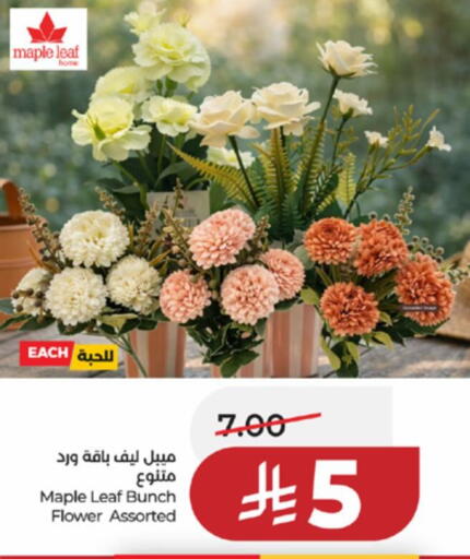 available at لولو هايبرماركت in مملكة العربية السعودية, السعودية, سعودية - تبوك