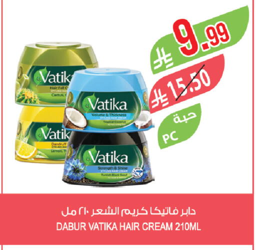 Coconut available at المزرعة in مملكة العربية السعودية, السعودية, سعودية - نجران