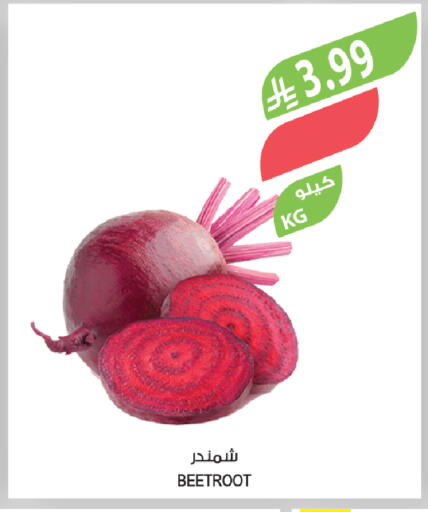 Beetroot available at المزرعة in مملكة العربية السعودية, السعودية, سعودية - تبوك