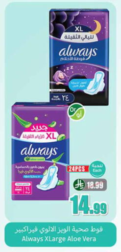 available at أسواق عبد الله العثيم in مملكة العربية السعودية, السعودية, سعودية - بيشة