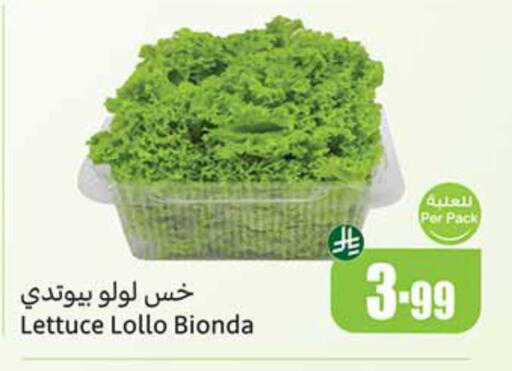 Lettuce available at أسواق عبد الله العثيم in مملكة العربية السعودية, السعودية, سعودية - حفر الباطن