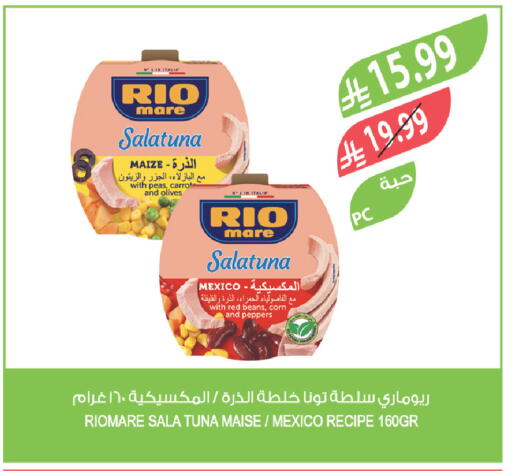 Peas available at Farm  in KSA, Saudi Arabia, Saudi - Al Bahah