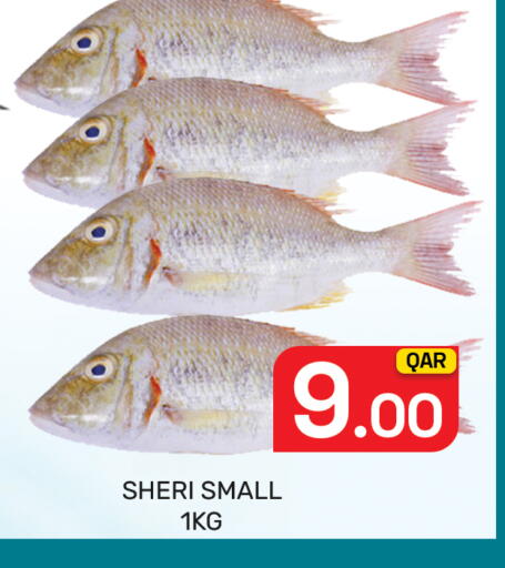 available at Majlis Hypermarket in Qatar - Al Rayyan