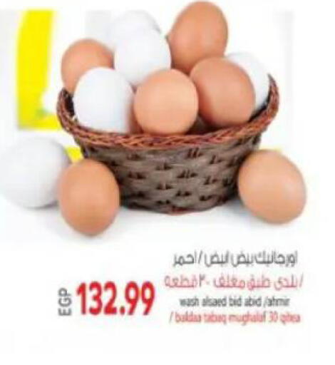 available at ماركت بني الجديد in Egypt - القاهرة