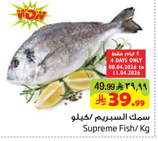 available at Layan Hyper in KSA, Saudi Arabia, Saudi - Dammam