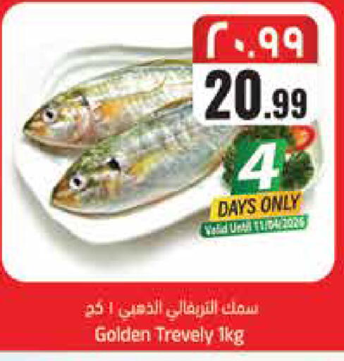 available at ستي فلاور in مملكة العربية السعودية, السعودية, سعودية - سكاكا