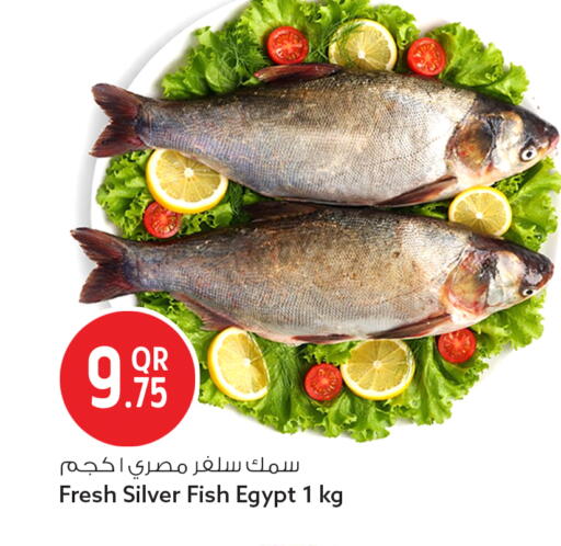 available at سفاري هايبر ماركت in قطر - الريان