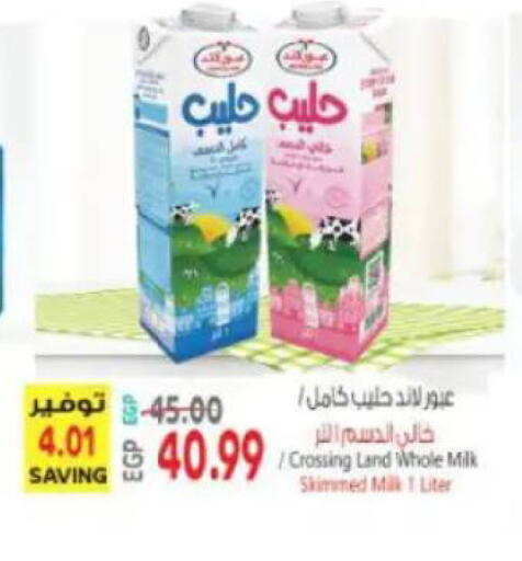 available at New.Penny.market in Egypt - Cairo