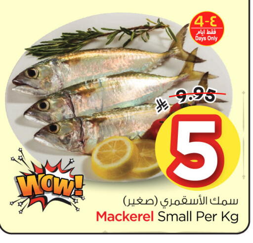 available at نستو in مملكة العربية السعودية, السعودية, سعودية - الخبر‎
