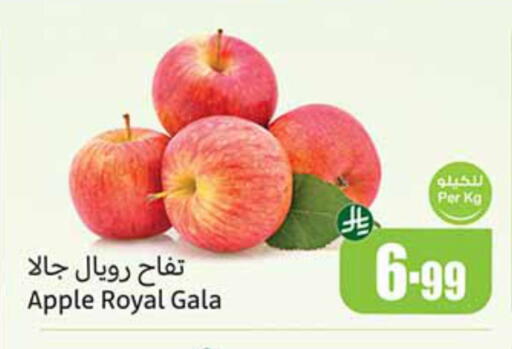 Apple available at Othaim Markets in KSA, Saudi Arabia, Saudi - Hafar Al Batin