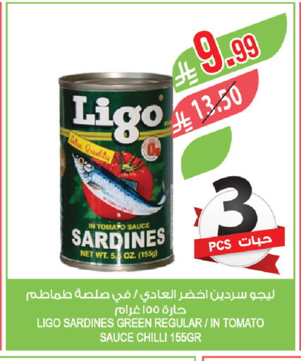 Tomato Chilli available at Farm  in KSA, Saudi Arabia, Saudi - Saihat