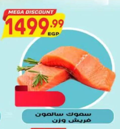 available at New.Penny.market in Egypt - Cairo