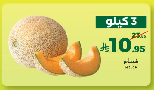 Melon available at ميرا مارت مول in مملكة العربية السعودية, السعودية, سعودية - جدة