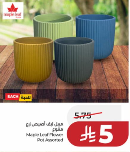 available at لولو هايبرماركت in مملكة العربية السعودية, السعودية, سعودية - تبوك