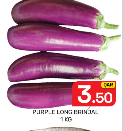 available at Majlis Hypermarket in Qatar - Al Rayyan