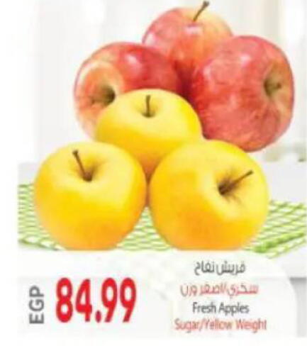 available at New.Penny.market in Egypt - Cairo