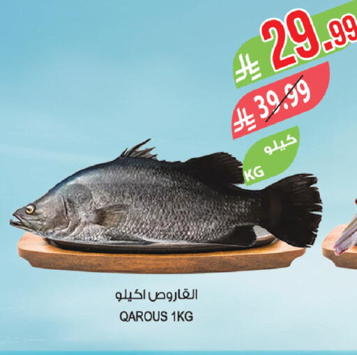 available at المزرعة in مملكة العربية السعودية, السعودية, سعودية - الباحة