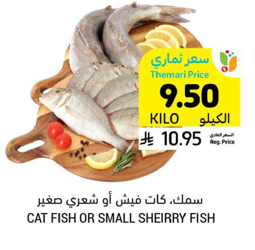 available at أسواق التميمي in مملكة العربية السعودية, السعودية, سعودية - بريدة