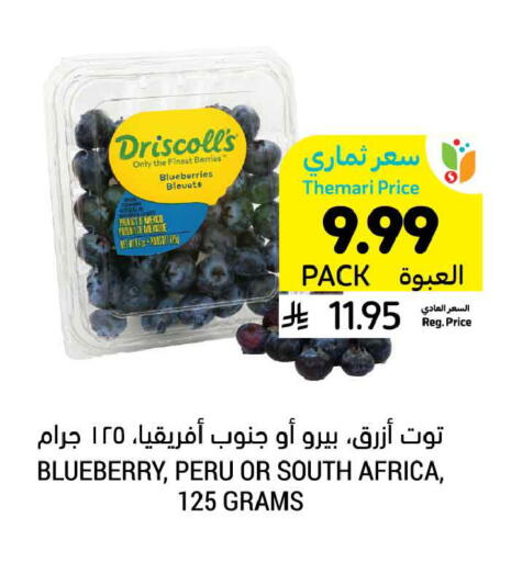 Blueberry BlueBerry from South Africa available at أسواق التميمي in مملكة العربية السعودية, السعودية, سعودية - الخبر‎