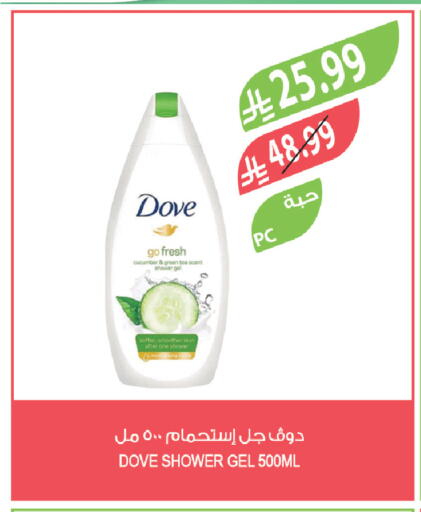 Cucumber available at Farm  in KSA, Saudi Arabia, Saudi - Abha