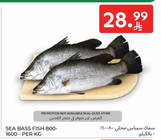 available at كارفور in مملكة العربية السعودية, السعودية, سعودية - بريدة