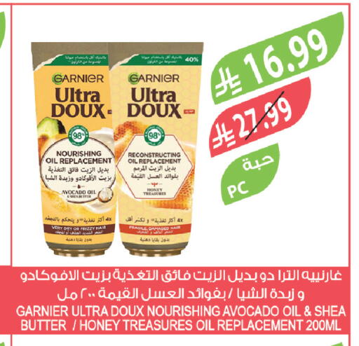 Avocado available at Farm  in KSA, Saudi Arabia, Saudi - Abha