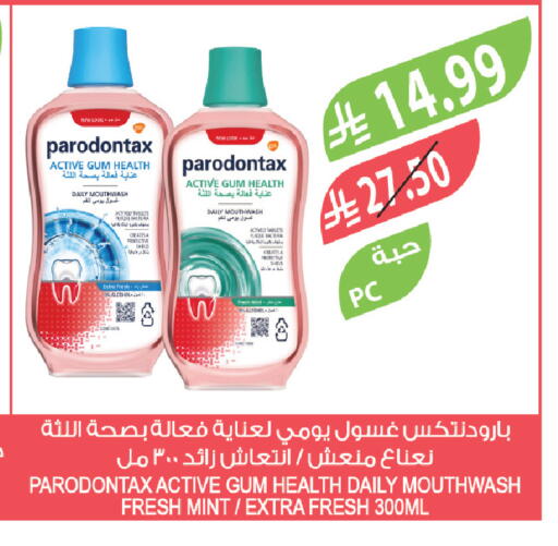 Mint available at Farm  in KSA, Saudi Arabia, Saudi - Qatif