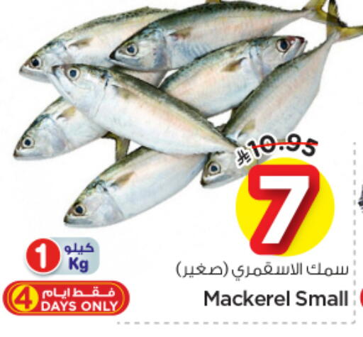 available at نستو in مملكة العربية السعودية, السعودية, سعودية - الرياض