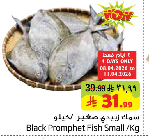 available at Layan Hyper in KSA, Saudi Arabia, Saudi - Dammam