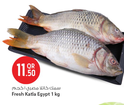 available at سفاري هايبر ماركت in قطر - الريان